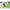 Carlige Legate Korum Big Fish Braided Hair Rigs Barbed, 15cm, Nr.12, 8buc/pac