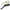 Carp Spirit Line Aligner Transparent nr.6/8