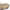 Cearceaf Saltea Nash Indulgence Washable Mattress Sheet
