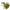 Chatterbait Lucky John Bbs Pike, Culoare 002, 38g