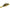 Chatterbait Raid Maxx Blade Speed, 01 Guripan Shad, 8g, 1buc/pac
