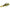 Chatterbait Raid Maxx Blade Speed, 07 Guricha Shad, 11g, 1buc/pac