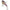 Cicada Berkley Rattlin Powerblade, Wagasaki, 4.5cm, 10g, 1buc/pac