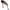 Cicada Fox Rage Big Eye Blade, 17g, 6cm, Uv Bleak