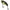 Cicada Fox Rage Big Eye Blade, 17g, 6cm, Uv Pike