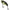 Cicada Fox Rage Big Eye Blade, 8g, 4cm, UV Pike