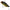 Cicada Illex Knockin Jaw, Delicious Gold, 10.5g, 5.2cm, 1buc/pac