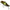 Cicada Illex Knockin Jaw, Hl Ayu, 10.5g, 5.2cm, 1buc/pac