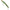 Cicada Illex Runner Blade, Anchovy, 31g, 11.5cm, 1buc/pac
