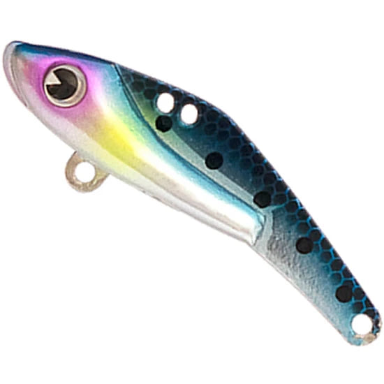 Cicada Ima Schneider 13, 019 Plated Sardines, 5.5cm, 13.0g