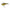 Cicada Jackall Jeublu 5.2cm 6.4g Gold Back