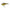 Cicada Jackall Jeublu 5.2cm 6.4g Gold Back