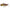 Cicada Jackall Knockin Jaw, Wakasagi Reaction, 1/4oz, 4.6cm