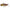 Cicada Jackall Knockin Jaw, Wakasagi Reaction, 1/4oz, 4.6cm