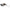 Cicada Jackall Kuro Ball Tackey Brown, 3.0cm, 3.8g