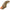 Cicada Palms Bottom Harp Vib, T-615, 2.8g