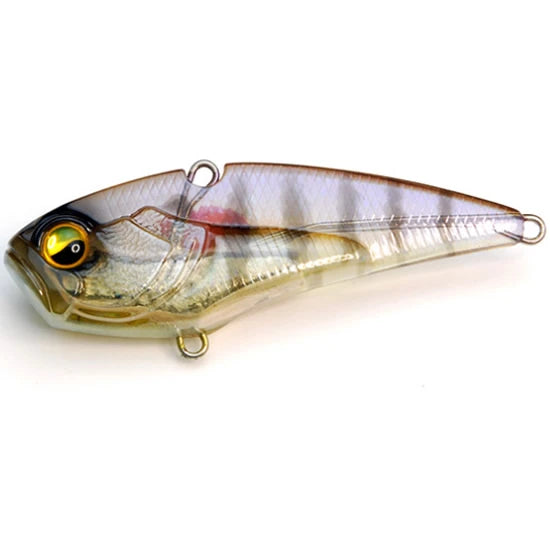 Cicada Raid Japan Level Vib Boost Heavy, 024 Sukebe Gill, 6cm, 14g