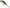 Cicada Rapala Rippin Blade, PEL, 16g, 7cm