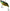 Cicada Sakura Soukouss Blade, Gill, 14g, 5cm, 1buc/pac
