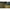Cizme Harkila Forester Zip Dark Olive, Nr.43