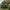 Cizme Piept Avid Distortion Camo Chest Waders, Camo, Marime 45