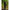 Cizme Piept Zebco Pvc Wader Green, Marime 42-43