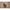 Clema Matrix Tool Bar Pro Clamp