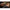 Cleste Cutter Gamakatsu Pole Position Easy Cutter