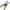 Cleste Insomnia Inele Despicate Inox, 16.5cm
