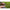 Cleste Korum Multi Tool With Qc Lanyard, 20.5cm