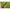 Cleste Korum Multi Tool With Qc Lanyard, 20.5cm