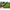 Cleste Korum Multi Tool With Qc Lanyard, 20.5cm
