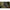 Cleste Korum Multi Tool With Qc Lanyard, 20.5cm