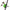 Clopotel Zeck Pro-bell