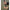 Cobra Nadire Avid Extremity Xr Throwing Stick 24mm, 120cm
