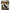 Cobra Nadire Avid Extremity Xr Throwing Stick 24mm, 120cm