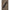 Cobra Nadire Avid Extremity Xr Throwing Stick 29mm, 120cm