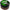 Colorant Fish Pro Verde, 30ml