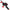 Combo Abu Garcia Max X Casting M, 10-40g, 1.98m, 2seg
