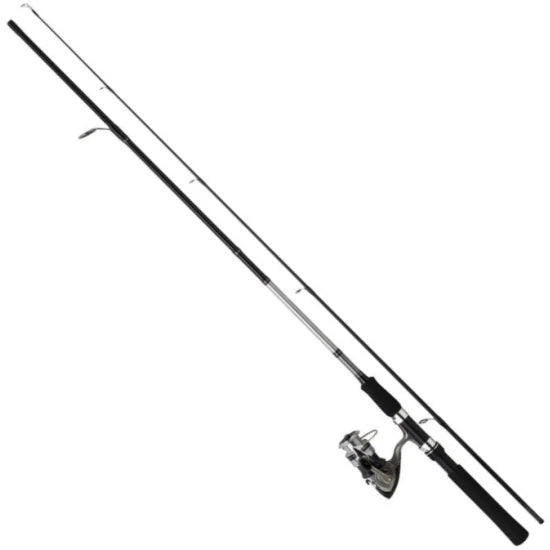 Combo Daiwa Sw21bf Df200a Spinning Kit, 10-30g, 2.10m, 2seg