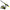 Combo Mitchell Colors Mx Spinning Combo M, Neon, 7-35g, 2.13m, 2seg