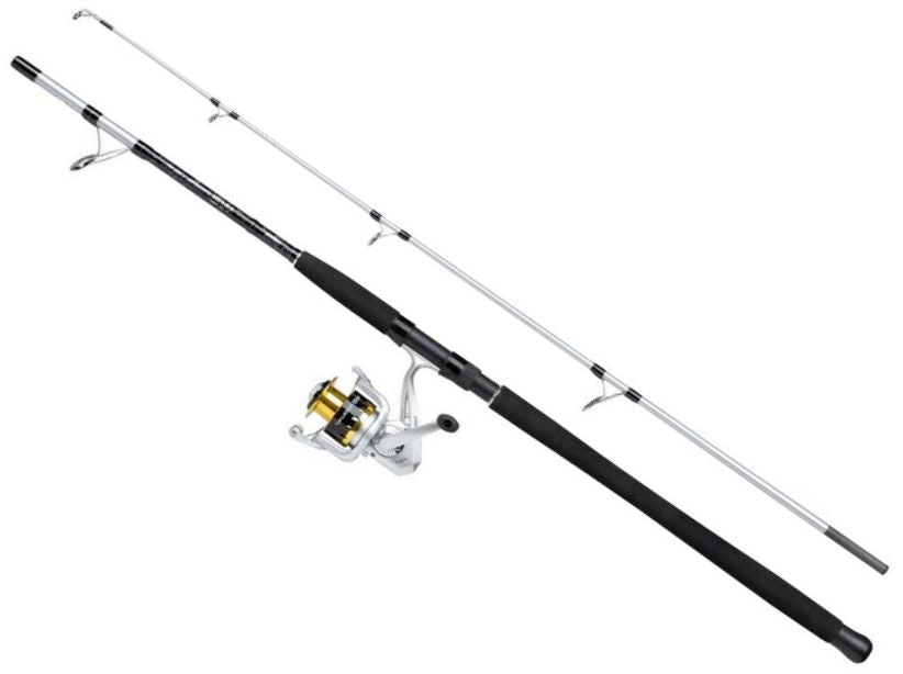 Combo Mitchell Tanager SW Boat Spinning H, 100-300g, 2.40m, 2seg