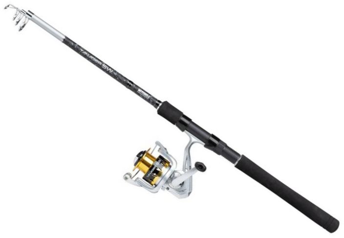 Combo Mitchell Tanager SW Palangrotte Spinning H, 1.50m, 20-80g, 3seg