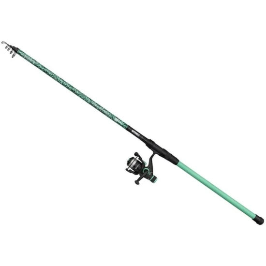 Combo Spinning Mitchell Catch Pro Ii Telelight, 3.30m, 20-60g + Mulineta 2000 Rear Drag + Fir