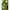 Combo Zebco Ensemble Trout Ul Spinning, 1-5g, 2.00m, 2seg