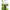 Combo Zebco Tele Spin Combo, 2.40m, 45g, 2000 Fd