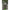 Con Fox Rage Predator Camo Safety Sleeves, Large, 10buc/pac