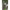 Con Fox Rage Predator Camo Safety Sleeves, Medium, 10buc/pac