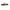 Con Plumb Pierdut DAM MAD Tail Rubbers Brown