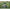 Copertina Bimini Allroundmarin Sunworld 2, Verde, 110cm